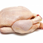 Poulet Bio 