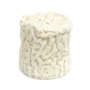 Fromage Chabichou du Poitou AOP