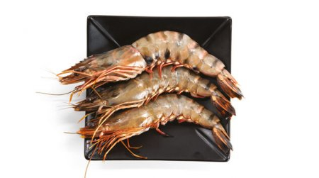  Crevettes grises 