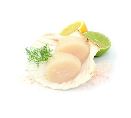 Noix De Saint Jacques Sans Corail