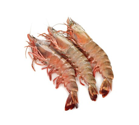 Crevettes entières sauvages crues 